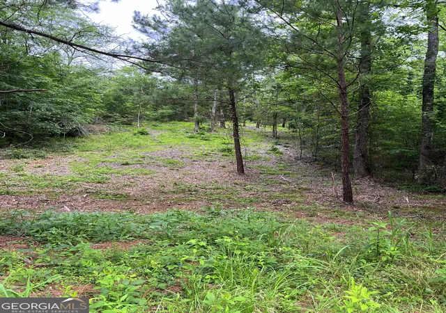 3rd image of Lot 37 Russel Ridge Ct, Elberton, GA 30635 | MLS# 10536857