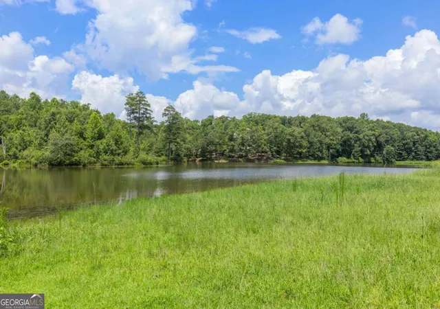 15th image of 10861 Hutcheson Ferry Rd, Palmetto, GA 30268 | MLS# 10807867