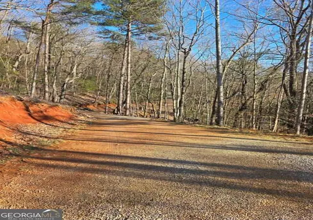 35th image of 100 Hidden Hollow Ln, Dahlonega, GA 30533 | MLS# 10710237