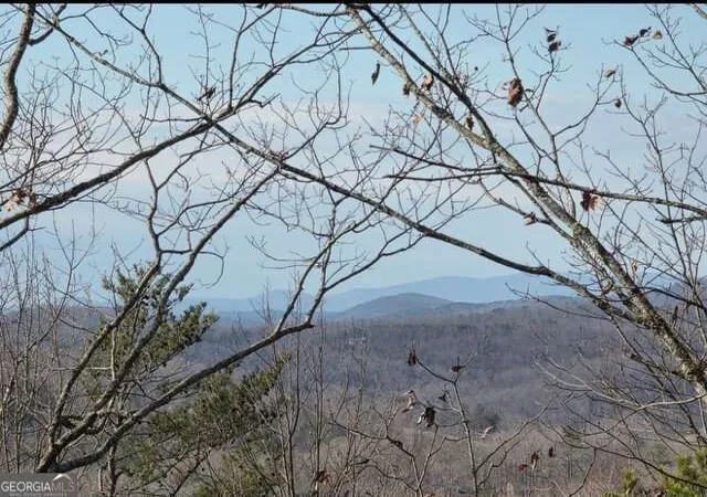 3rd image of 100 Hidden Hollow Ln, Dahlonega, GA 30533 | MLS# 10710237