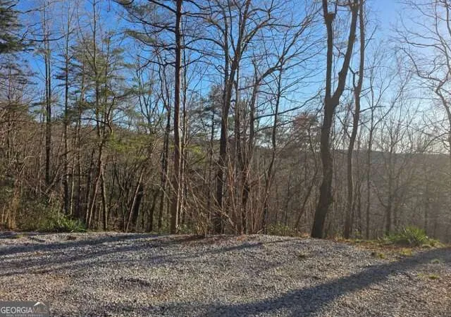 4th image of 100 Hidden Hollow Ln, Dahlonega, GA 30533 | MLS# 10710237