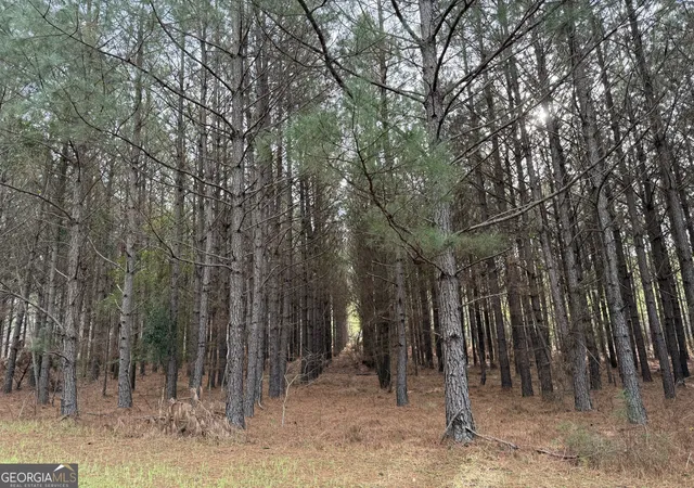 Homes for sale in Crawfordville, GA | 0000 Center Hill School Rd, Crawfordville, GA 30631 | MLS# 10771094