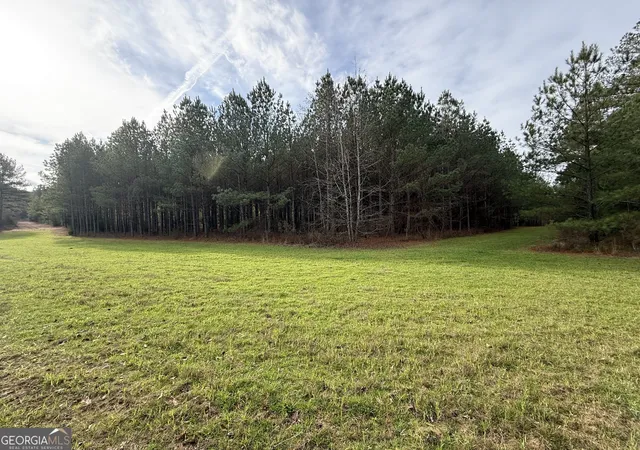 Homes for sale in Crawfordville, GA | 0000 Center Hill School Rd, Crawfordville, GA 30631 | MLS# 10771094