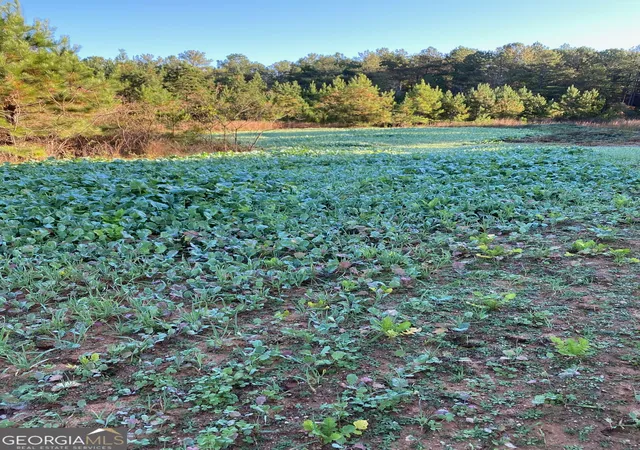Photo 3 of Land for sale at 0000 Center Hill School Rd, Crawfordville, GA 30631 | MLS# 10771094 | Listing updated on 2026-09-02