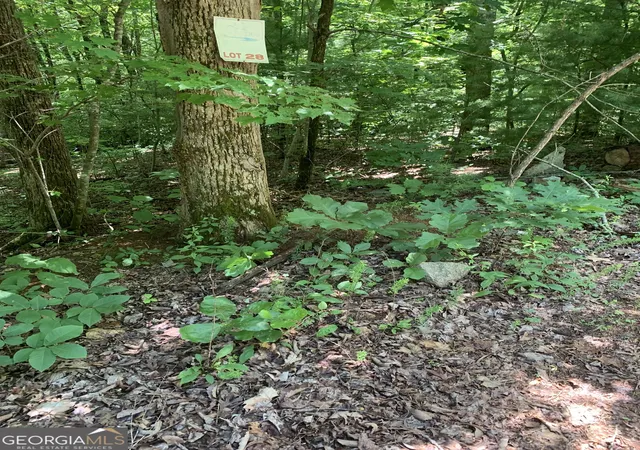 2nd image of Lot 28 King Mountain Dr, Clayton, GA 30525 | MLS# 10790014