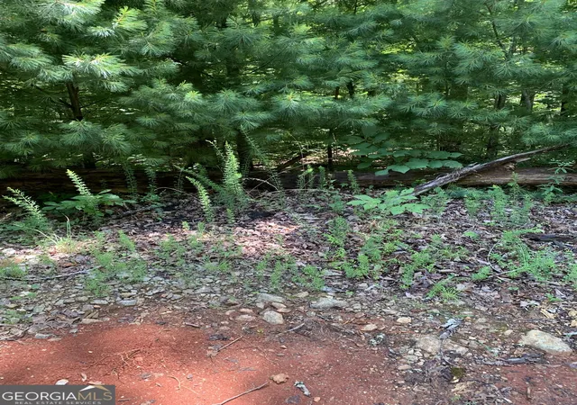 Photo 3 of Land for sale at Lot 28 King Mountain Dr, Clayton, GA 30525 | MLS# 10790014 | Listing updated on 2026-07-04