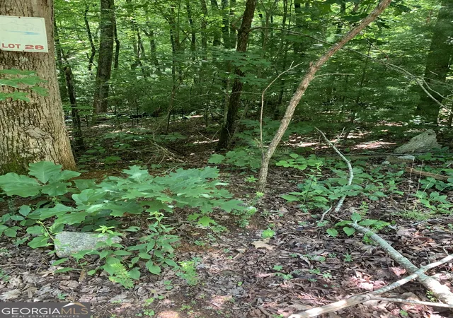 Photo 4 of Land for sale at Lot 28 King Mountain Dr, Clayton, GA 30525 | MLS# 10790014 | Listing updated on 2026-07-04