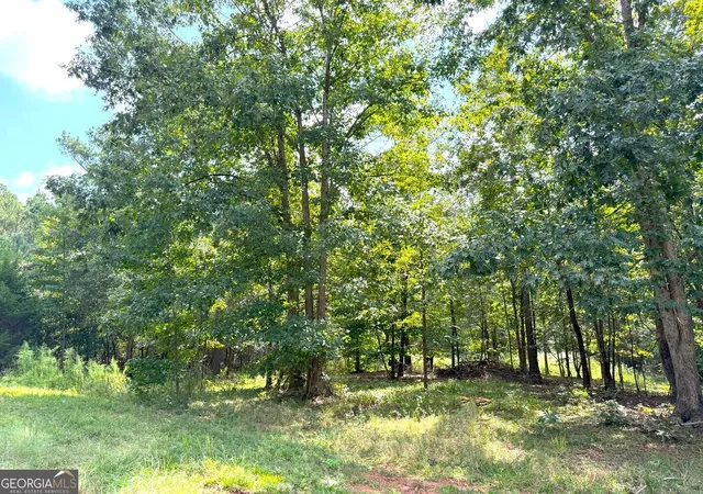 Homes for sale in Elberton, GA | 1049 Jaybird Ln, Elberton, GA 30635 | MLS# 10777293
