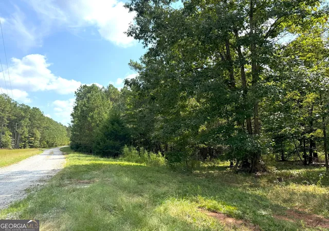Homes for sale in Elberton, GA | 1049 Jaybird Ln, Elberton, GA 30635 | MLS# 10777293