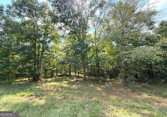 Homes for sale in Elberton, GA | 1049 Jaybird Ln, Elberton, GA 30635 | MLS# 10777293