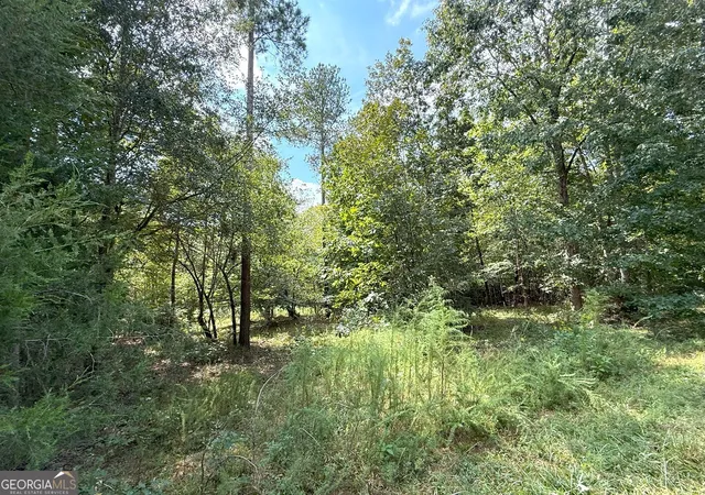 Homes for sale in Elberton, GA | 1049 Jaybird Ln, Elberton, GA 30635 | MLS# 10777293