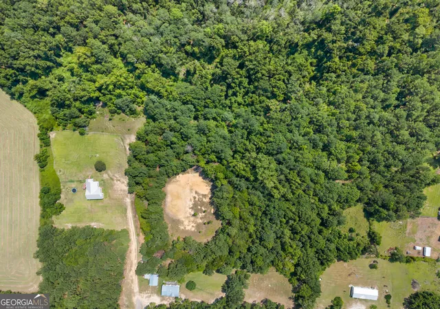 Photo 3 of Land for sale at 0 Halcyondale Rd, Sylvania, GA 30467 | MLS# 10822394 | Listing updated on 2026-08-23
