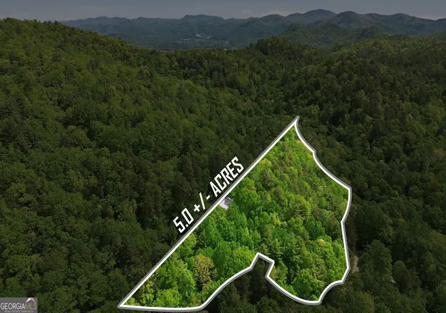 3rd image of 325 Kitchins Ln, Clayton, GA 30525 | MLS# 10756703