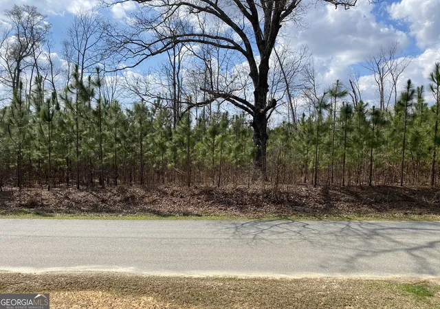 Homes for sale in Waverly Hall, GA | 0 Baker Rd, Waverly Hall, GA 31831 | MLS# 10781136