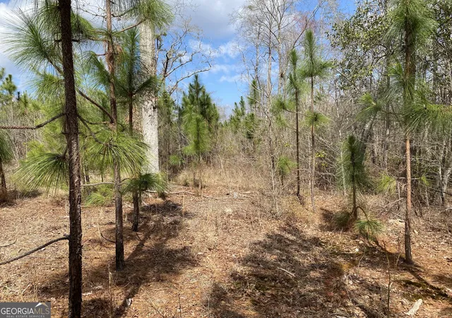 Homes for sale in Waverly Hall, GA | 0 Baker Rd, Waverly Hall, GA 31831 | MLS# 10781136