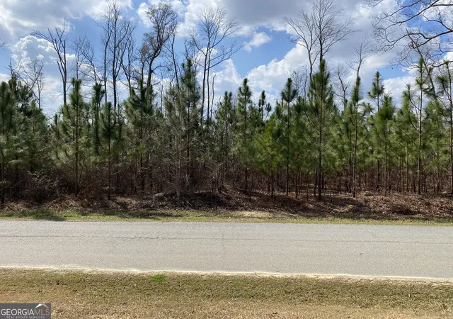 Homes for sale in Waverly Hall, GA | 0 Baker Rd, Waverly Hall, GA 31831 | MLS# 10781136