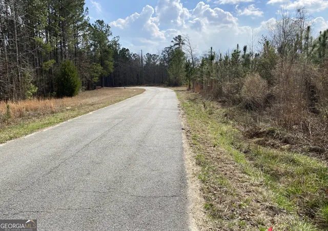 Homes for sale in Waverly Hall, GA | 0 Baker Rd, Waverly Hall, GA 31831 | MLS# 10781136