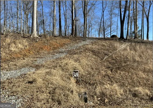 Photo 1 of Land for sale at Lt 349 Reel Rd, Talking Rock, GA 30175 | MLS# 10836776 | Listing updated on 2026-09-23