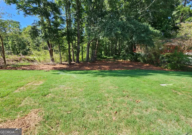 2nd image of 53 Clemit Harris Rd #LOT 28, Newnan, GA 30263 | MLS# 10830659