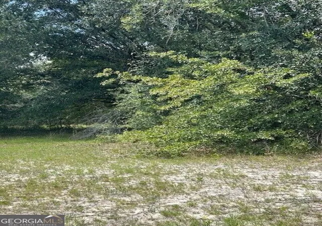 3rd image of 0 Lee Road, Pembroke, GA 31321 | MLS# 10831610
