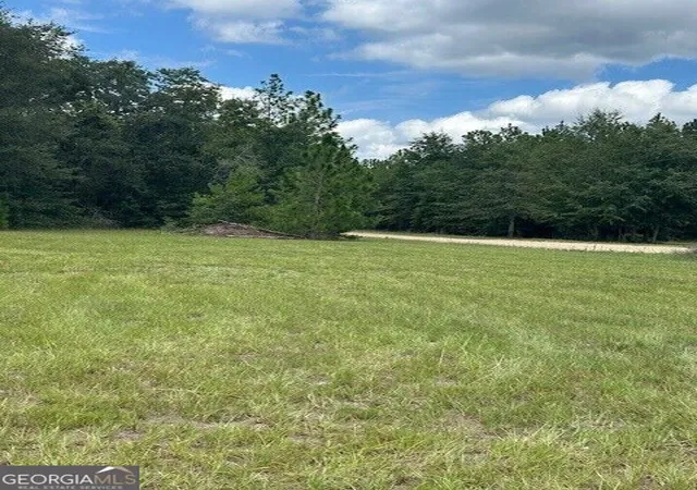 5th image of 0 Lee Road, Pembroke, GA 31321 | MLS# 10831610