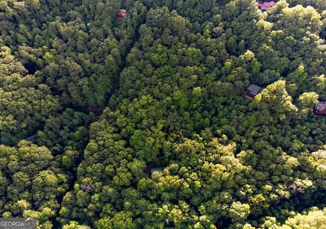 16th image of Lot 18 Cub Trl, Cherry Log, GA 30522 | MLS# 10805247