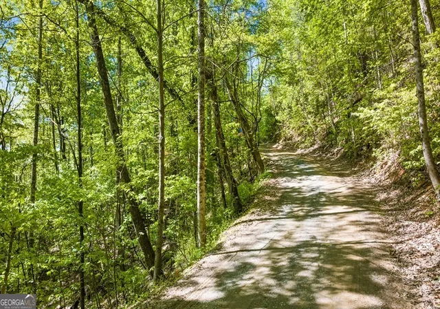 3rd image of Lot 18 Cub Trl, Cherry Log, GA 30522 | MLS# 10805247