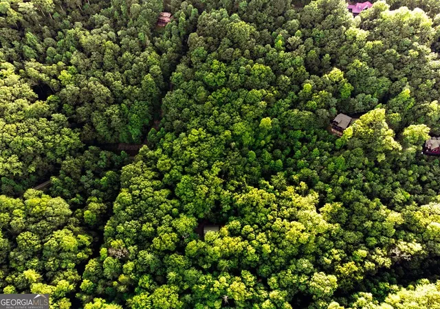 4th image of Lot 18 Cub Trl, Cherry Log, GA 30522 | MLS# 10805247