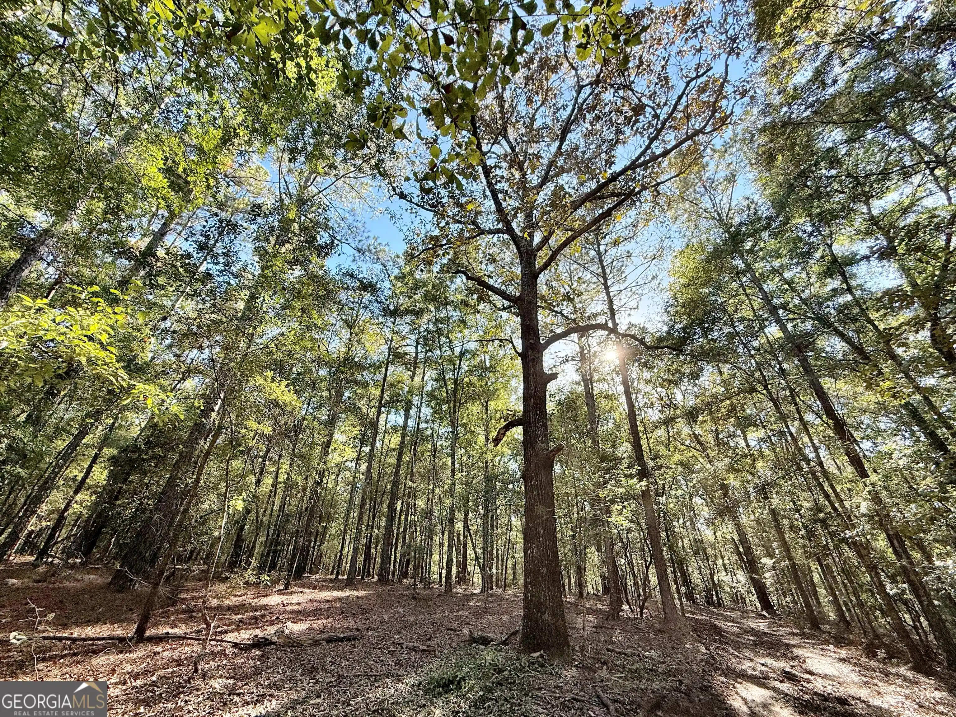 Land for sale at 1 Kitchens Rd, Macon, GA 31217 | MLS# 10854150