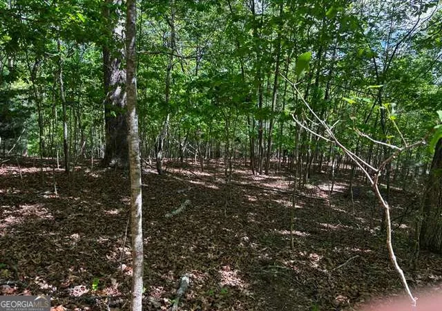 Homes for sale in Blairsville, GA | Lot 43 Edgewood Trl, Blairsville, GA 30512 | MLS# 10760565