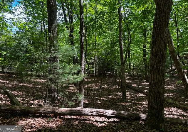 Homes for sale in Blairsville, GA | Lot 43 Edgewood Trl, Blairsville, GA 30512 | MLS# 10760565