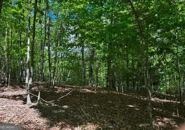 Homes for sale in Blairsville, GA | Lot 43 Edgewood Trl, Blairsville, GA 30512 | MLS# 10760565