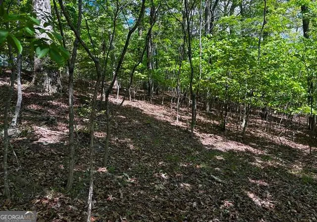 Homes for sale in Blairsville, GA | Lot 43 Edgewood Trl, Blairsville, GA 30512 | MLS# 10760565