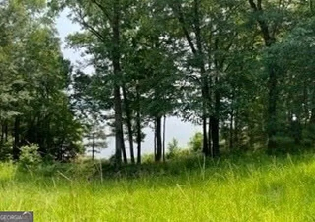 5th image of 999 Savannah Ridge Rd, Lincolnton, GA 30817 | MLS# 10812101