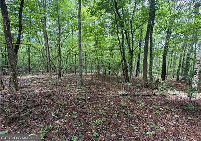 Photo 2 of Land for sale at 8915 Cedar Grv Rd, Fairburn, GA 30213 | MLS# 10788353 | Listing updated on 2026-10-27