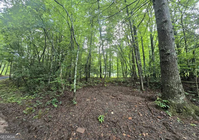 2nd image of 395 Payne Rd, Mc Caysville, GA 30555 | MLS# 10824951