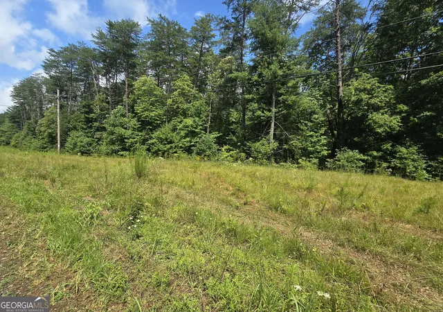 4th image of 395 Payne Rd, Mc Caysville, GA 30555 | MLS# 10824951