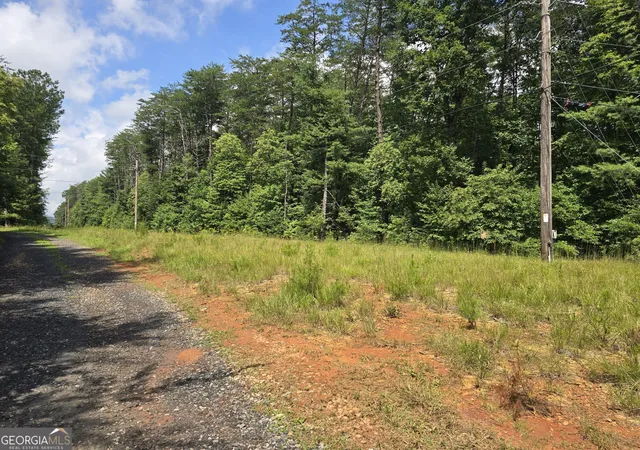 5th image of 395 Payne Rd, Mc Caysville, GA 30555 | MLS# 10824951