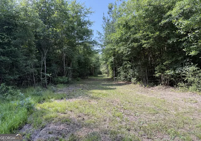 Homes for sale in Toomsboro, GA | 651 Branan Rd, Toomsboro, GA 31090 | MLS# 10794201