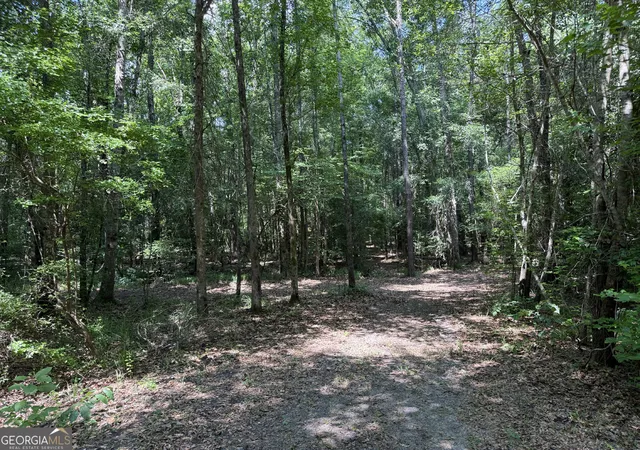 Homes for sale in Toomsboro, GA | 651 Branan Rd, Toomsboro, GA 31090 | MLS# 10794201