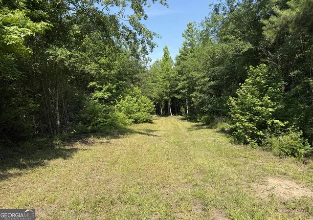 Homes for sale in Toomsboro, GA | 651 Branan Rd, Toomsboro, GA 31090 | MLS# 10794201