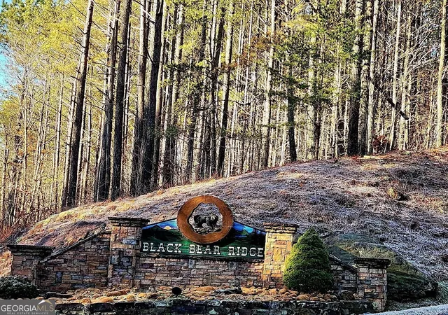 Photo 1 of Land for sale at 37 Black Bear Ridge Rd, Ellijay, GA 30536 | MLS# 10627767 | Listing updated on 2026-03-30