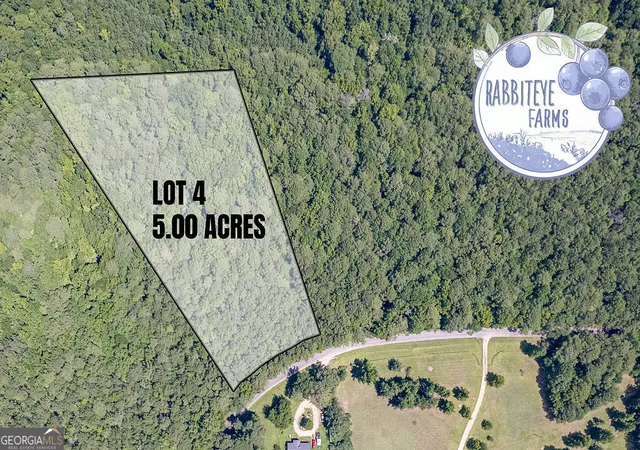 Photo 2 of Land for sale at Lot 4 Haynes Rd, Moreland, GA 30259 | MLS# 10804432 | Listing updated on 2026-08-03
