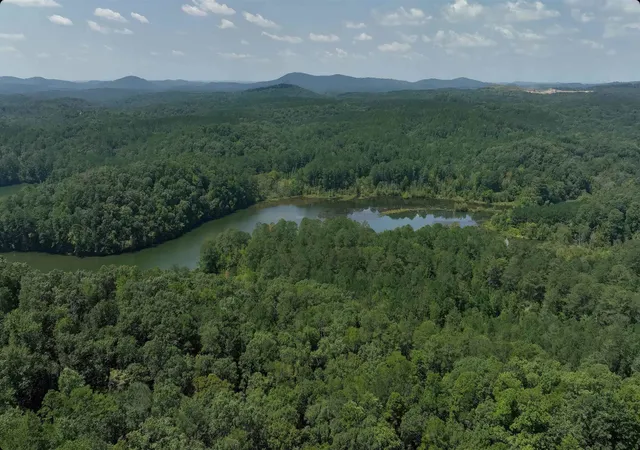 23rd image of 16 Hawks Branch Ln #123, White, GA 30184 | MLS# 20140391