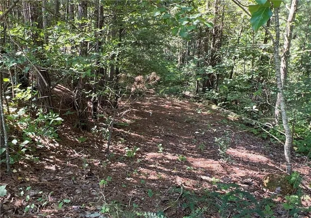Photo 3 of Land for sale at 16 Hawks Branch Ln #123, White, GA 30184 | MLS# 20140391 | Listing updated on 2026-08-31