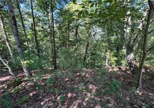 Photo 4 of Land for sale at 16 Hawks Branch Ln #123, White, GA 30184 | MLS# 20140391 | Listing updated on 2026-08-31