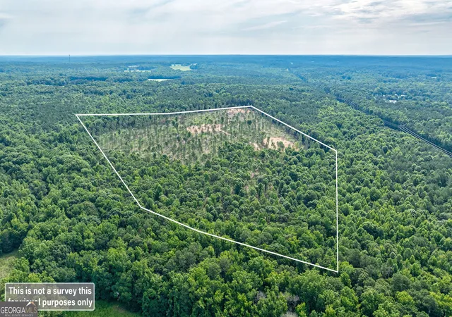 Homes for sale in Arnoldsville, GA | 0 Wilson Ln, Arnoldsville, GA 30619 | MLS# 10638271