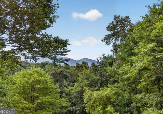 53rd image of 293 Weoka Ct, Ellijay, GA 30540 | MLS# 10821267