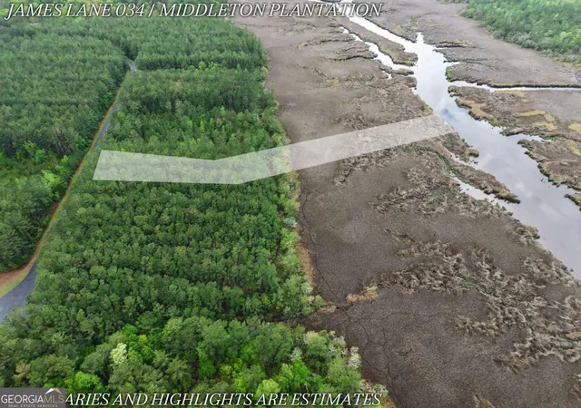 5th image of Lot 34 James Ln, White Oak, GA 31568 | MLS# 10740430