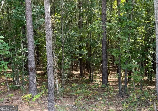 1st image of 00 Lone Bear Path, Dallas, GA 30132 | MLS# 10829692